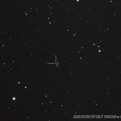 SN2026fvx＠NGC4205