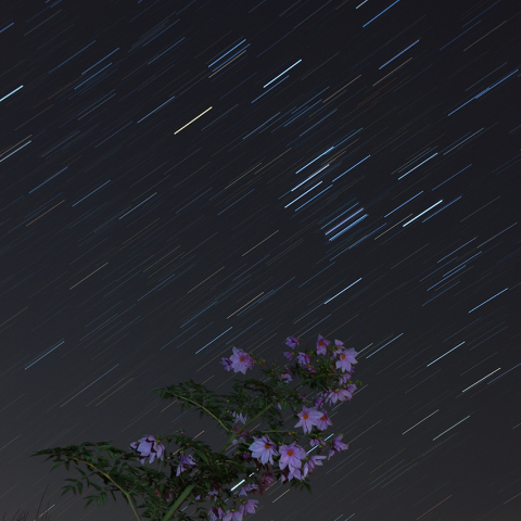 皇帝を見守る神々