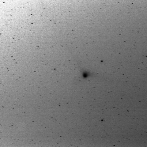 C/2013 US10 カタリナ彗星