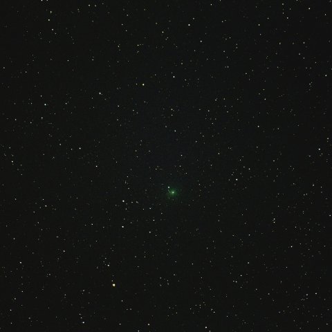 C/2018 Y1(岩本彗星)