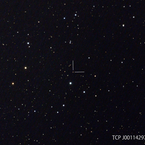 カシオペア座新星2020