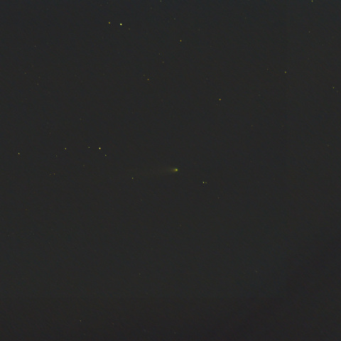 2022/1/3 レナード彗星(C/2021A1)