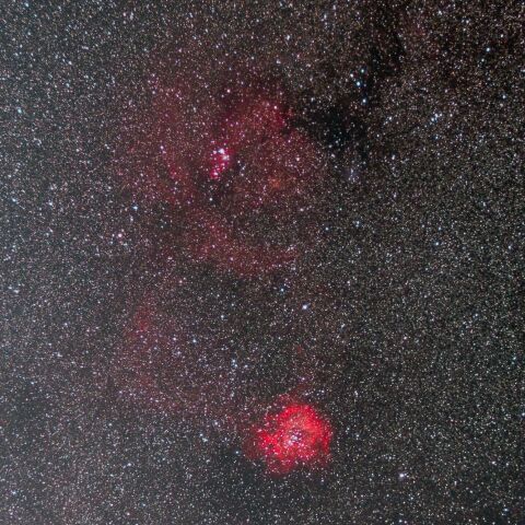 コーン星雲～ばら星雲