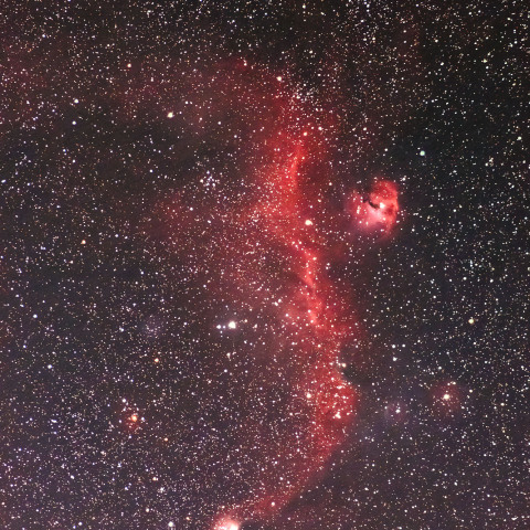 IC2177(カモメ星雲)