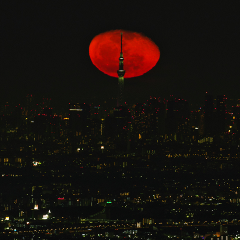 更待月とスカイツリー