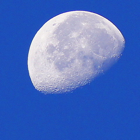 早朝の月