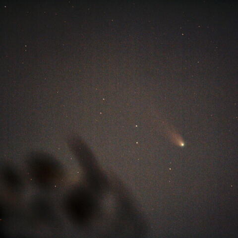 12月28日レナード彗星