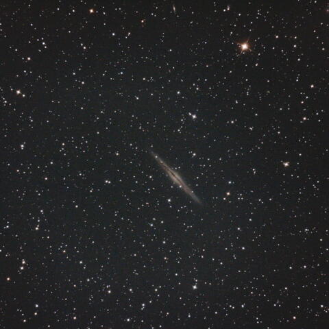 NGC891