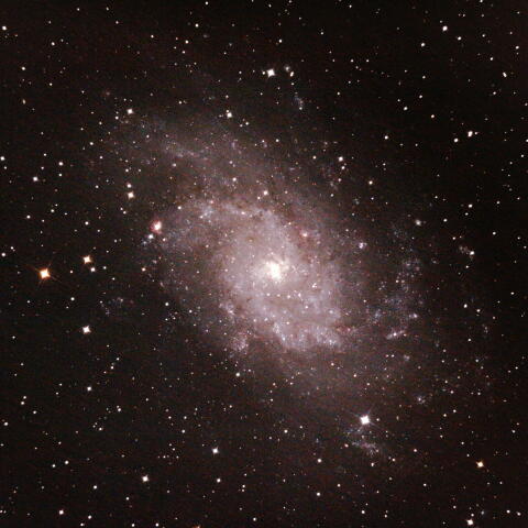 M33