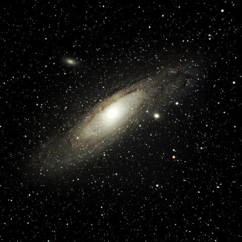 M31