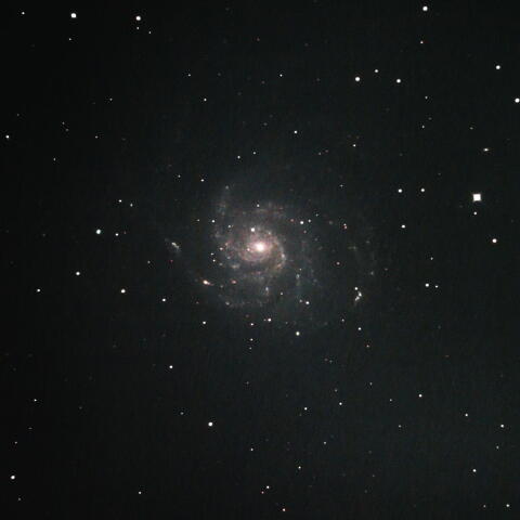 おおぐま座のＭ１０１銀河