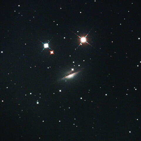 くじら座のＮＧＣ１０５５銀河