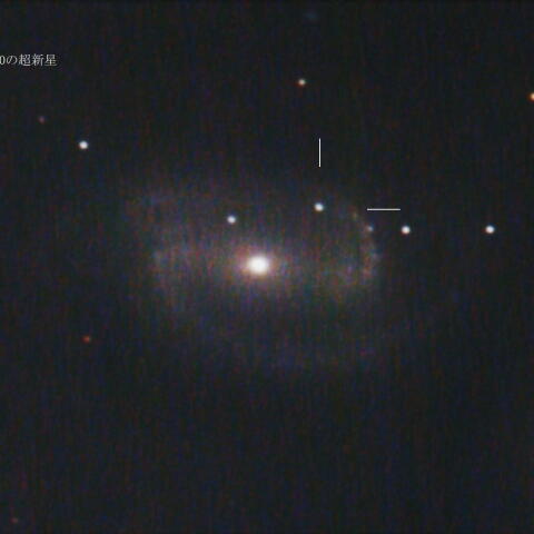 ＮＧＣ１３００の超新星