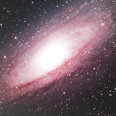 ＱＢＰⅢによるＭ３１