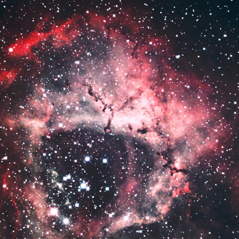 ＱＢＰⅢによるバラ星雲