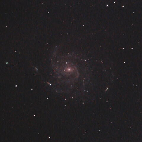 M101の超新星