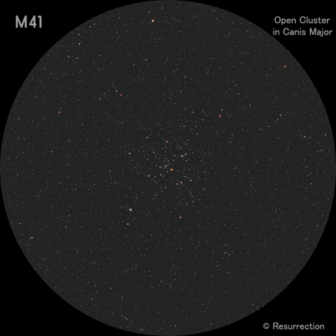 M41