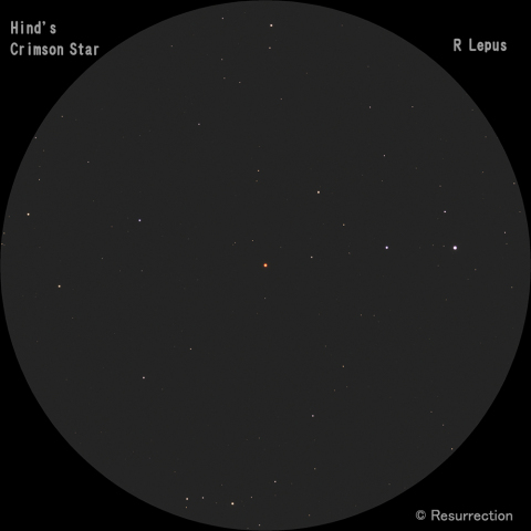 Hind's Crimson Star 2024.1.27