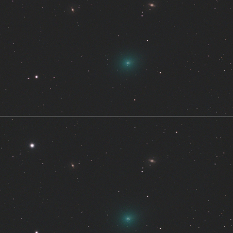 紫金山第１彗星 (62P) 2024.2.11