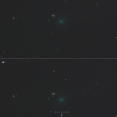 紫金山第１彗星 (62P) 2024.2.24
