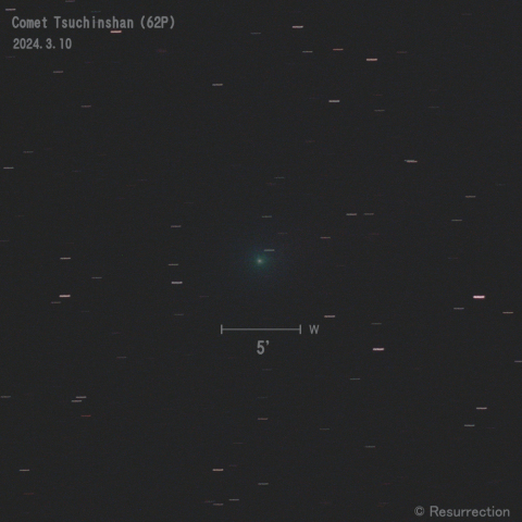 紫金山第1彗星 (62P) 2024.3.10