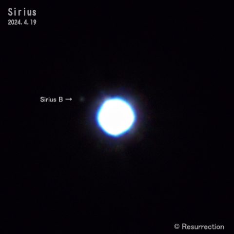 シリウスと伴星 2024.4.19