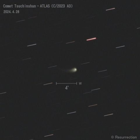 紫金山-アトラス彗星 (C/2023 A3)  2024.4.28