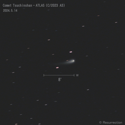 紫金山-アトラス彗星 (C/2023 A3)  2024.5.14