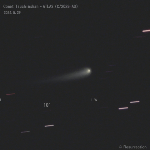 紫金山-アトラス彗星 (C/2023 A3)  2024.5.29