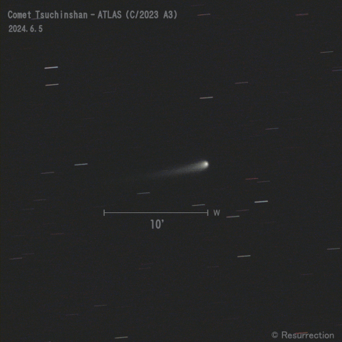 紫金山-アトラス彗星 (C/2023 A3)  2024.6.5