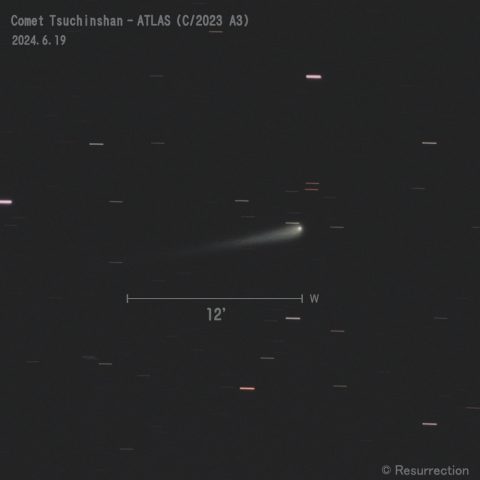 紫金山-アトラス彗星 (C/2023 A3)  2024.6.19