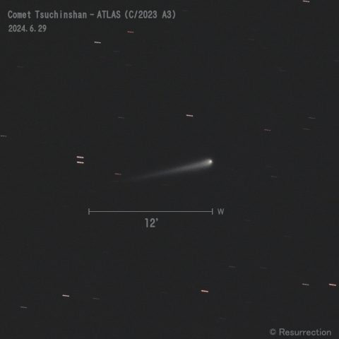 紫金山-アトラス彗星 (C/2023 A3)  2024.6.29