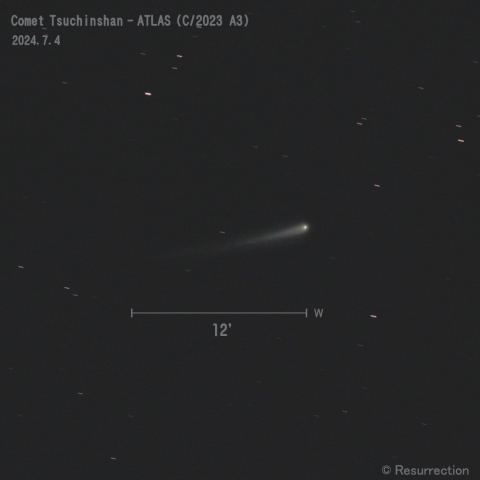 紫金山-アトラス彗星 (C/2023 A3)  2024.7.4