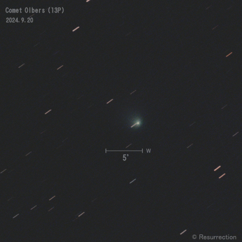 オルバース彗星 (13P) 2024.9.20