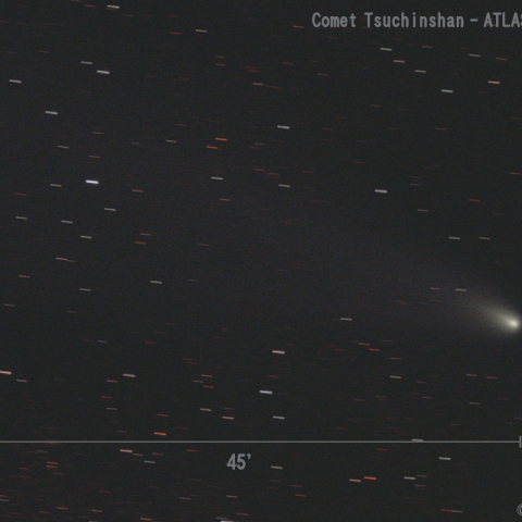 紫金山-アトラス彗星 (C/2023 A3)  2024.11.27