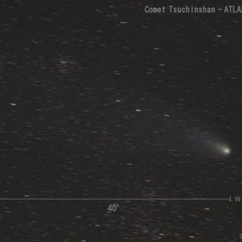 紫金山-アトラス彗星 (C/2023 A3)  2024.11.30