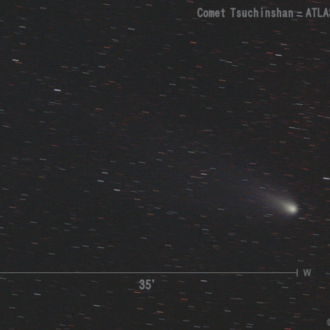 紫金山-アトラス彗星 (C/2023 A3)  2024.12.2