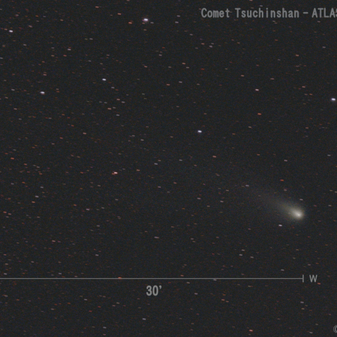 紫金山-アトラス彗星 (C/2023 A3)  2024.12.4