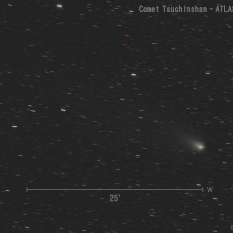 紫金山-アトラス彗星 (C/2023 A3)  2024.12.8