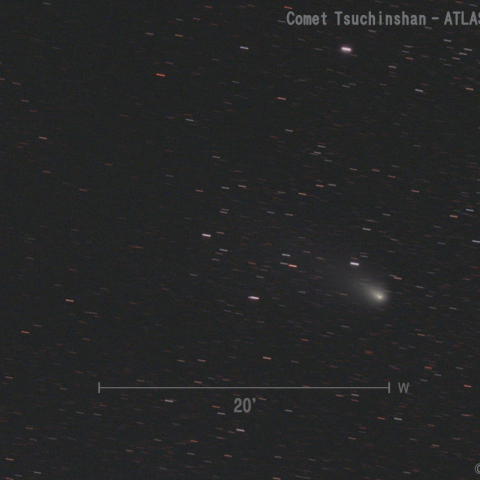 紫金山-アトラス彗星 (C/2023 A3)  2024.12.9