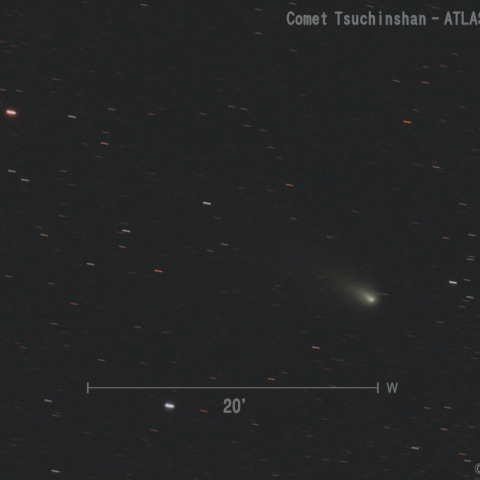 紫金山-アトラス彗星 (C/2023 A3)  2024.12.10