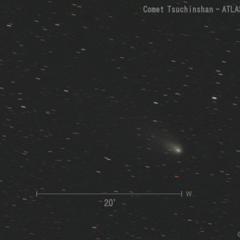 紫金山-アトラス彗星 (C/2023 A3)  2024.12.12