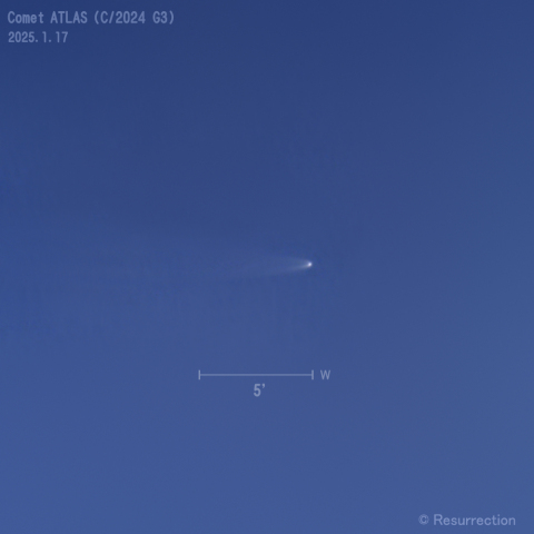 アトラス彗星 (C/2024 G3)  2025.1.17 ①