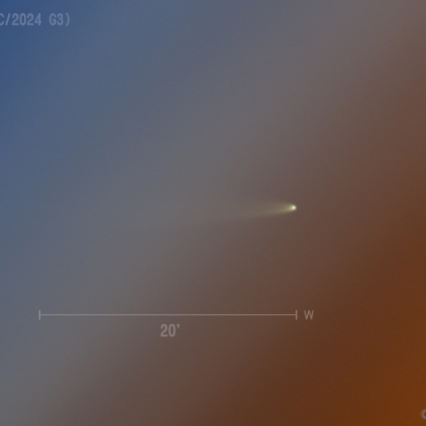 アトラス彗星 (C/2024 G3)  2025.1.17 ②