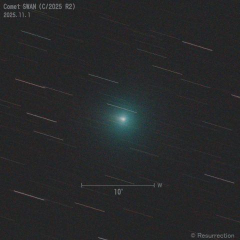 スワン彗星 (C/2025 R2) 2025.11.1