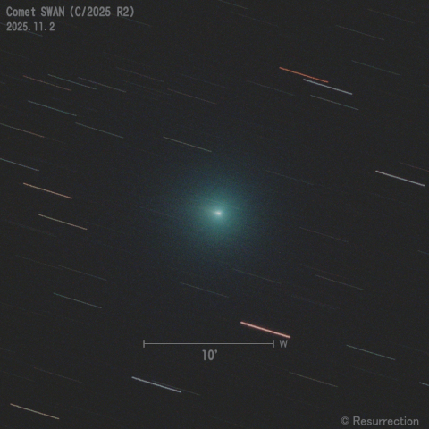 スワン彗星 (C/2025 R2) 2025.11.2
