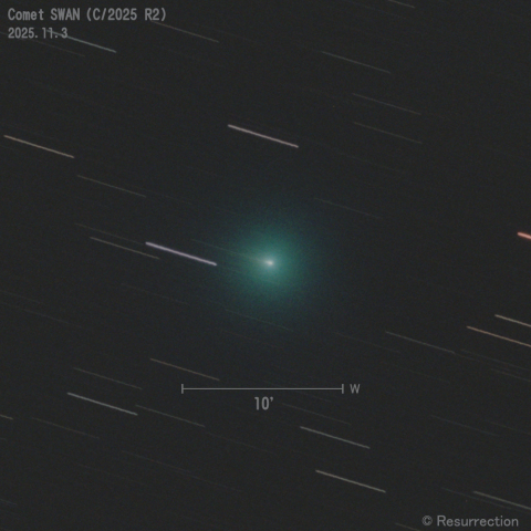 スワン彗星 (C/2025 R2) 2025.11.3