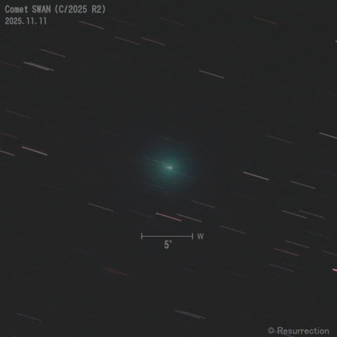 スワン彗星 (C/2025 R2) 2025.11.11