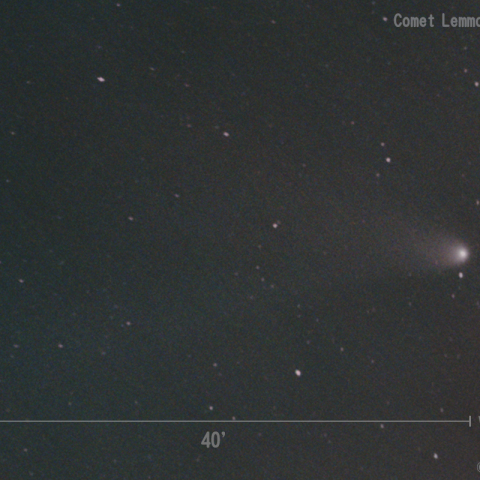 レモン彗星 (C/2025 A6) 2025.11.19