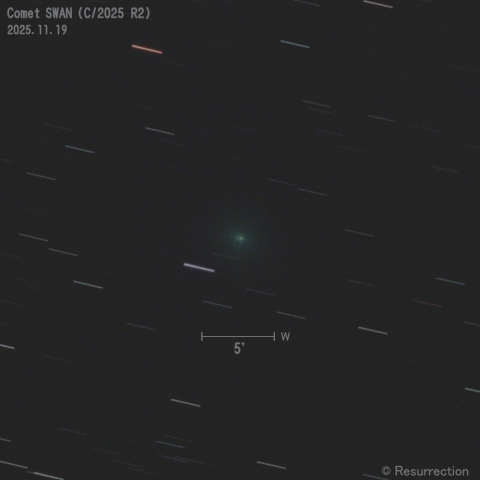 スワン彗星 (C/2025 R2) 2025.11.19